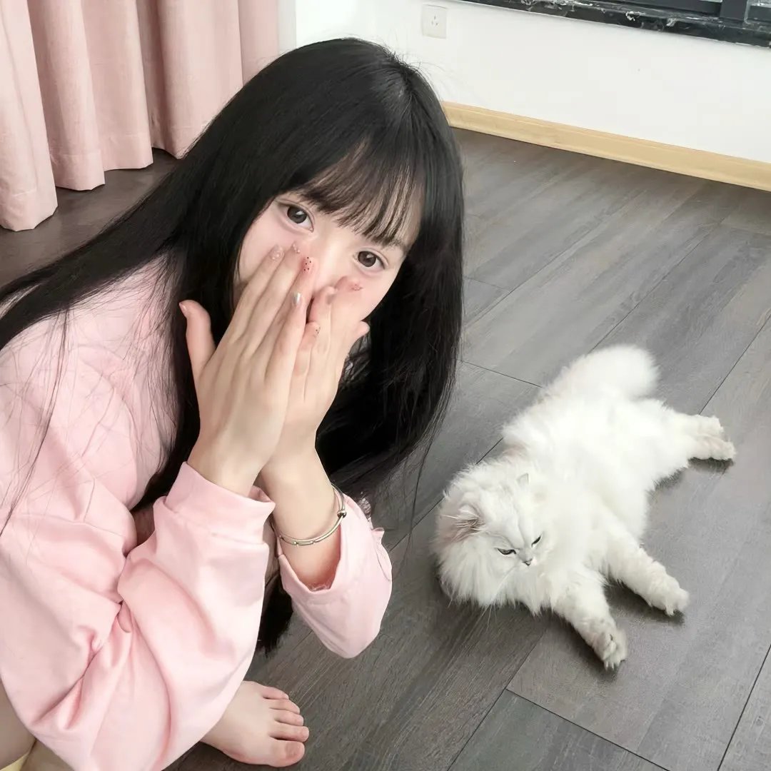 追讨者